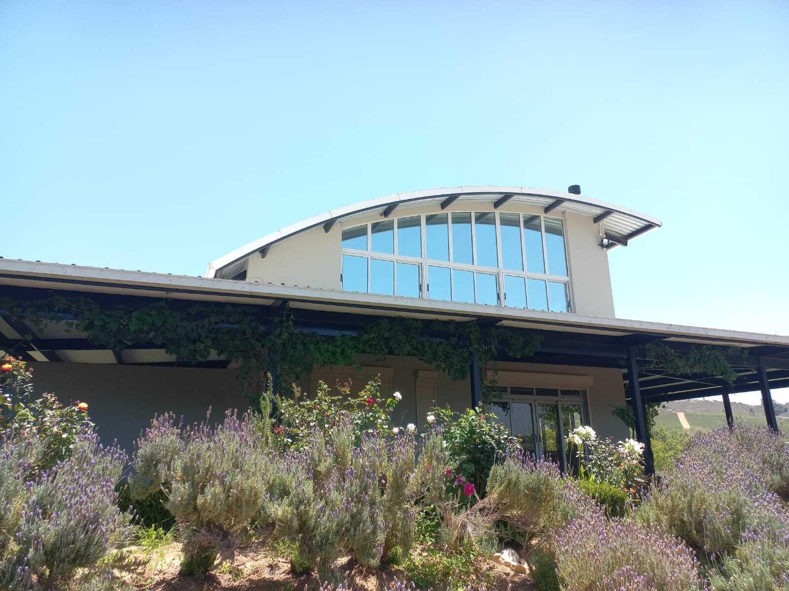 WhatsApp Image 2026-02-19 at 11.37.15 (1)